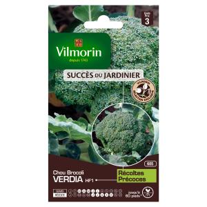 Chou Brocoli Verdia HF1 - Graines d'Exception